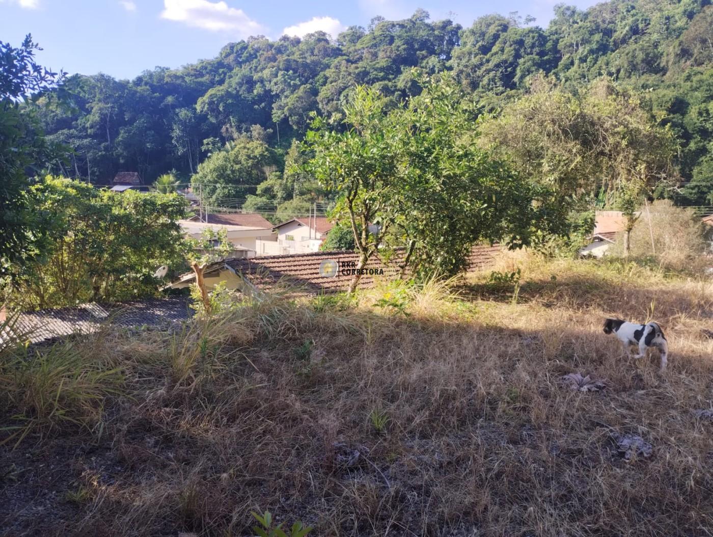 Lote/Terreno de 1956m² no bairro Zantão, em Brusque | Eu Corretor