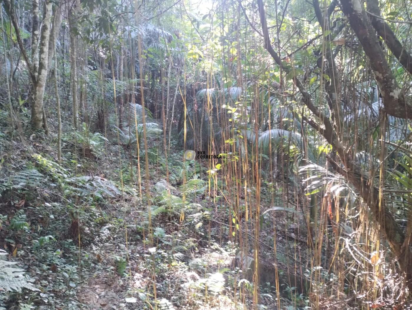 Lote/Terreno de 1956m² no bairro Zantão, em Brusque | Eu Corretor