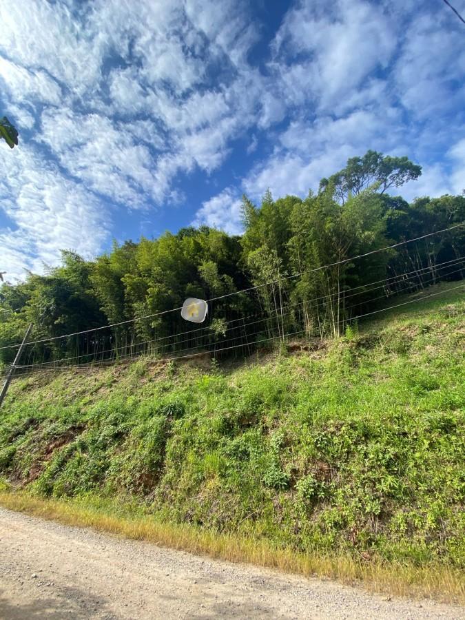 Lote/Terreno de 8829m² no bairro SÃO PEDRO, em Brusque | Eu Corretor