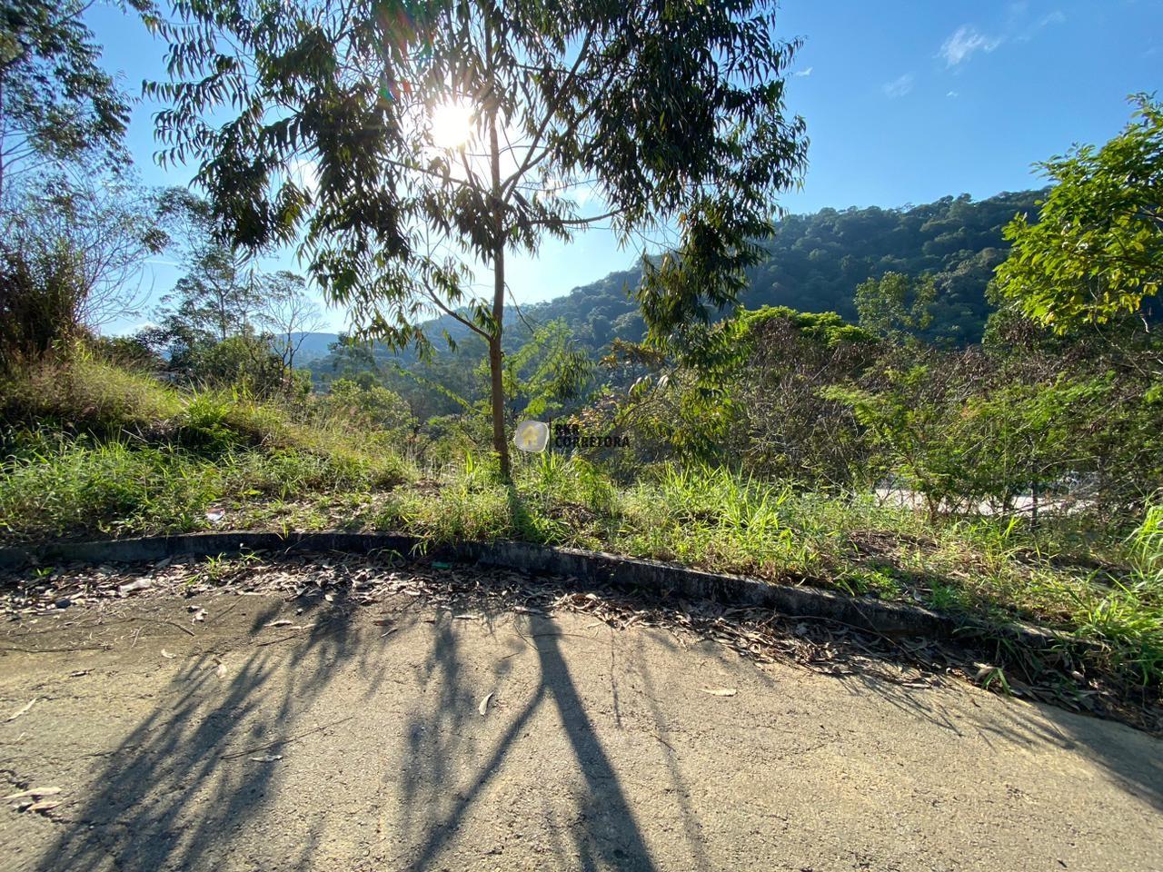 Lote/Terreno de 386m² no bairro Rio Branco, em Brusque | Eu Corretor