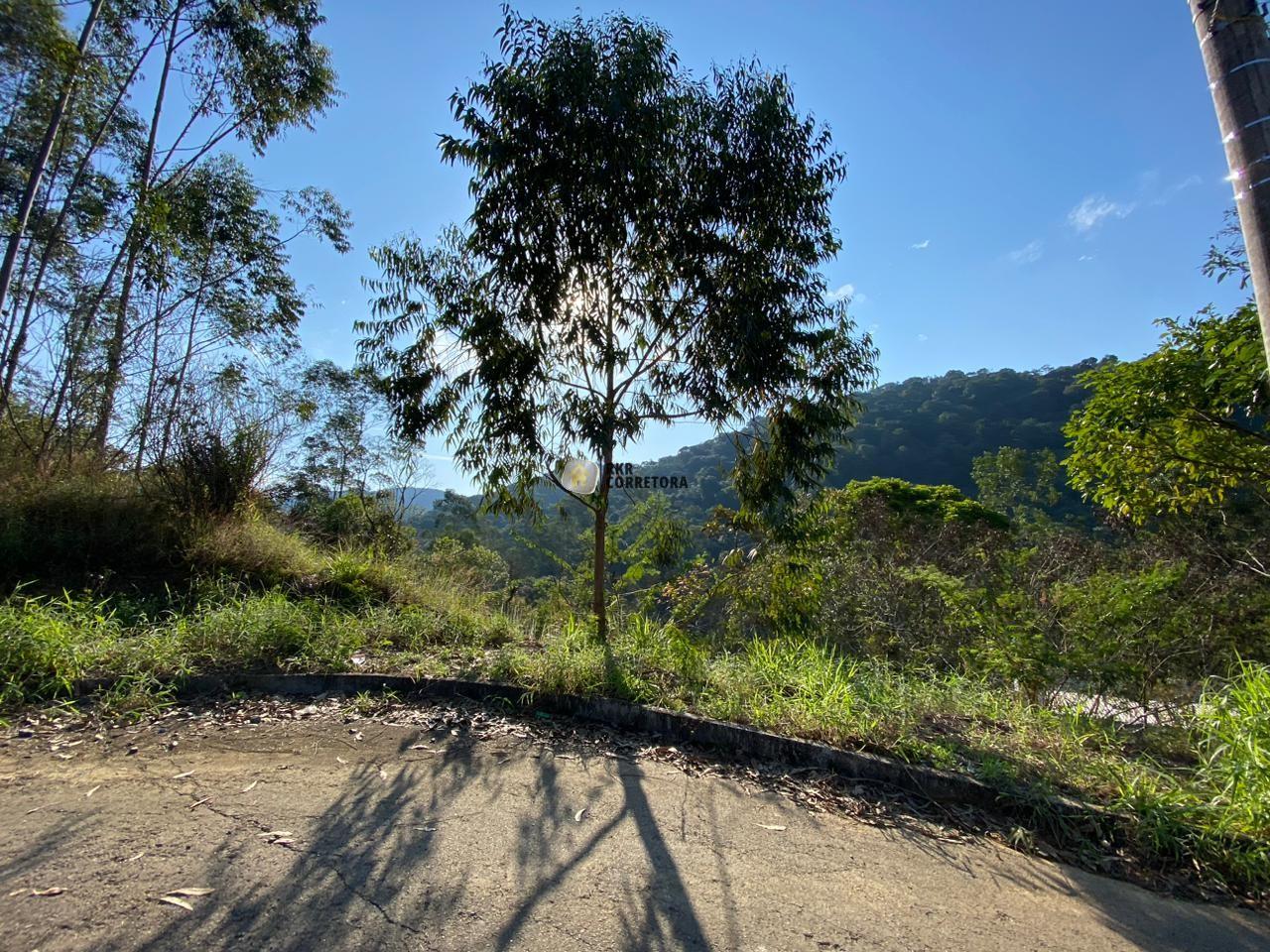 Lote/Terreno de 386m² no bairro Rio Branco, em Brusque | Eu Corretor